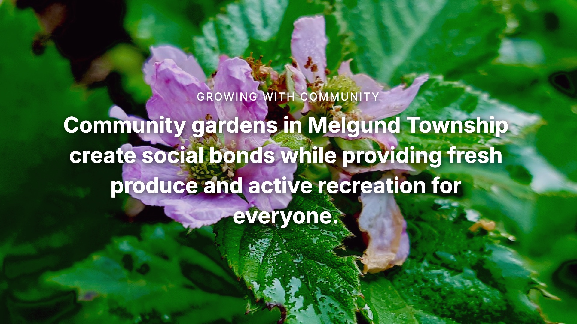 Build a healthier Melgund Township through community gardens. Fresh food and active living start with shared soil. #SDG2 #NorthwesternOntario