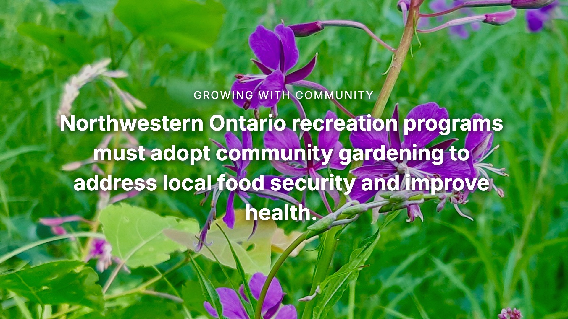 Let’s build food security in Northwestern Ontario. Community gardens are more than a hobby; they are essential infrastructure. #SDG2 #ZeroHunger