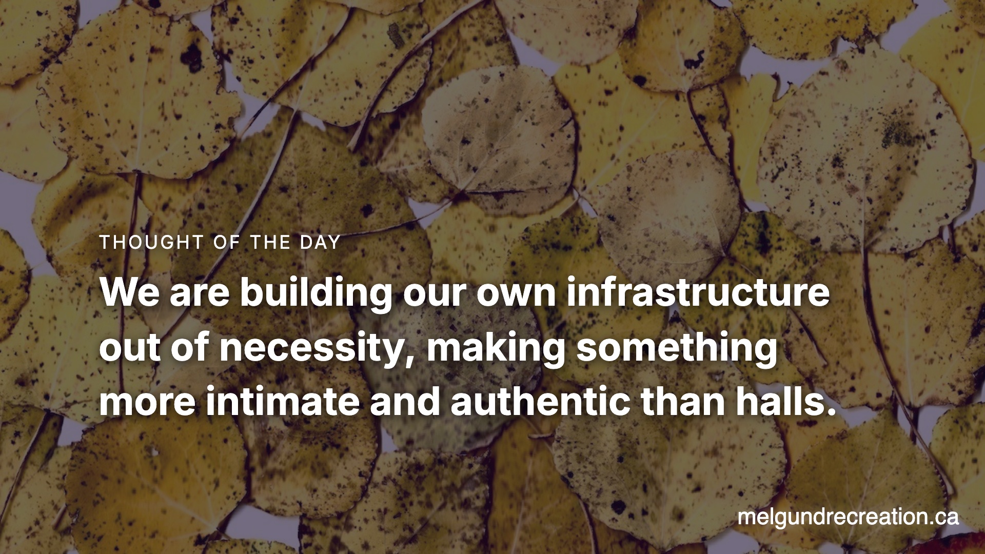 The Basement Is The New Venue