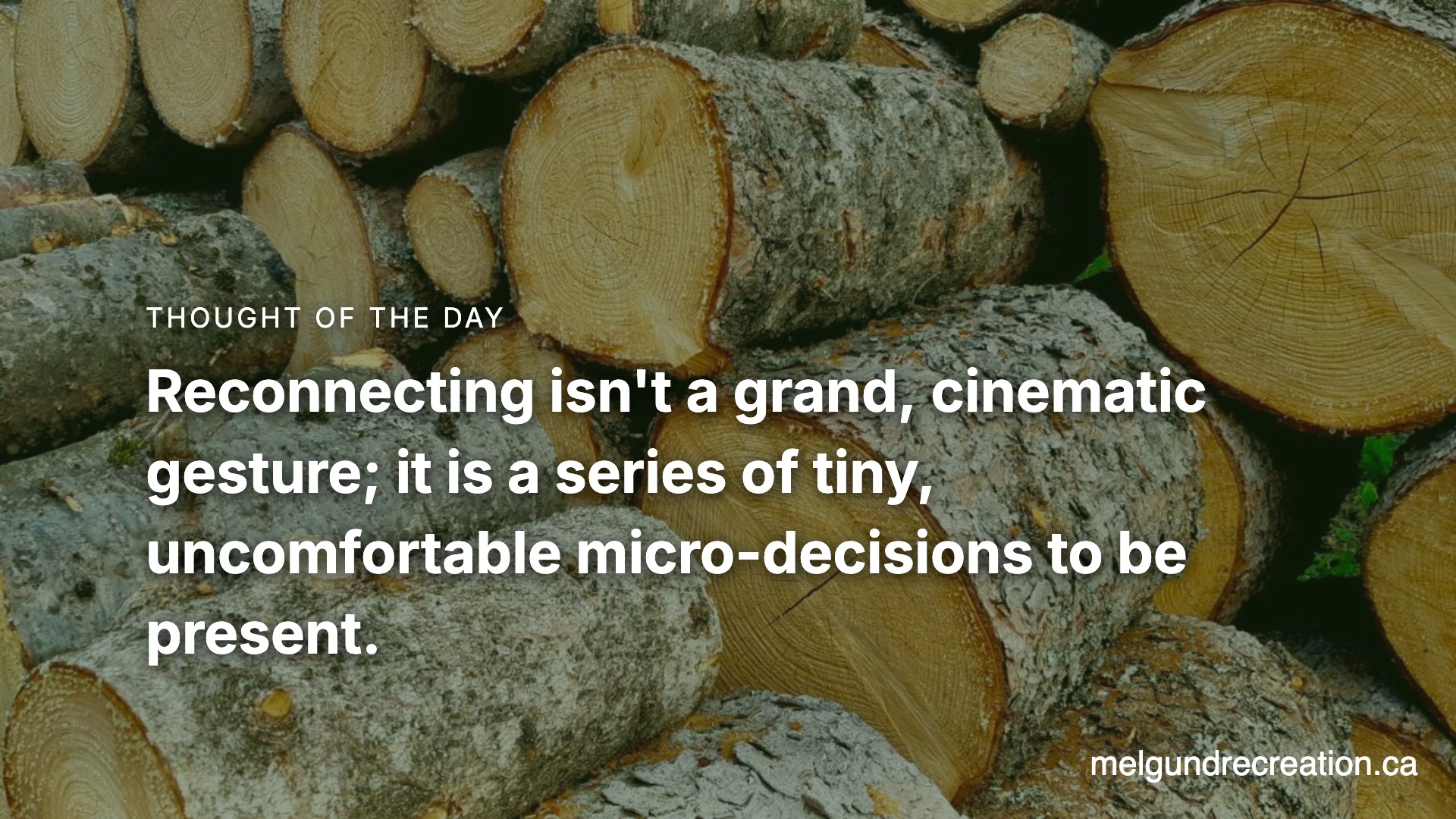 The Brutal Truth About Your Social Battery