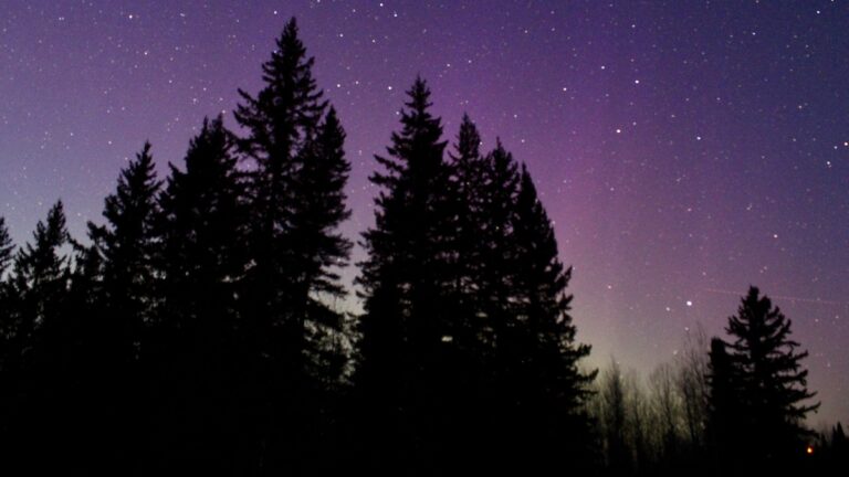 The night sky over Borups Corners, Northwestern Ontario, putting on its most dazzling show! Truly magical to witness the Aurora Borealis dance.