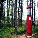 D49C1DB8-57FD-4BBE-A721-2260636AC0B7