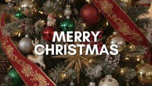 The Spirit of Christmas!