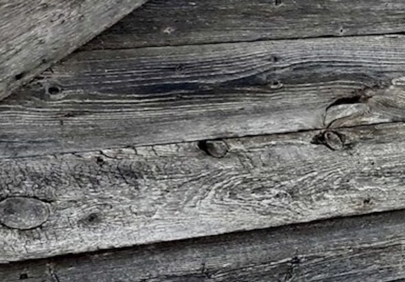 Salvaged timber makes the best art displays. Join our upcycling movement.