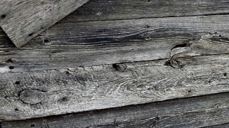 Salvaged timber makes the best art displays. Join our upcycling movement.