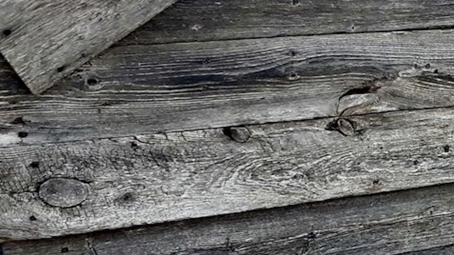 Salvaged timber makes the best art displays. Join our upcycling movement.