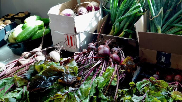 farmers-market-melgund-township