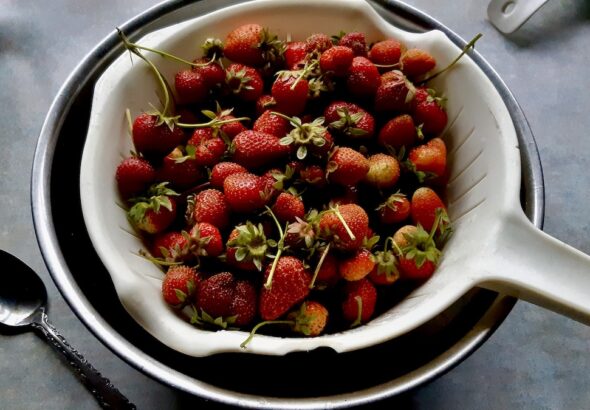 Melgund Townships Come Eat With Us redefines recreation in Northwestern Ontario through community cooking, food security, and digital literacy.