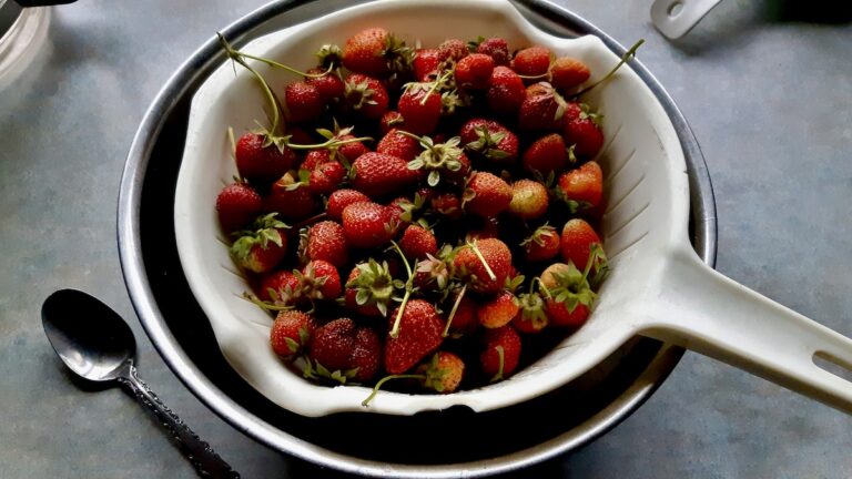 Melgund Townships Come Eat With Us redefines recreation in Northwestern Ontario through community cooking, food security, and digital literacy.