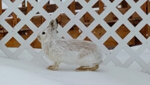 An Early Easter Visit
