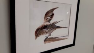 Featured this month, Dunham’s photography adds depth and visual storytelling to the Dyment Recreation Hall arts space.