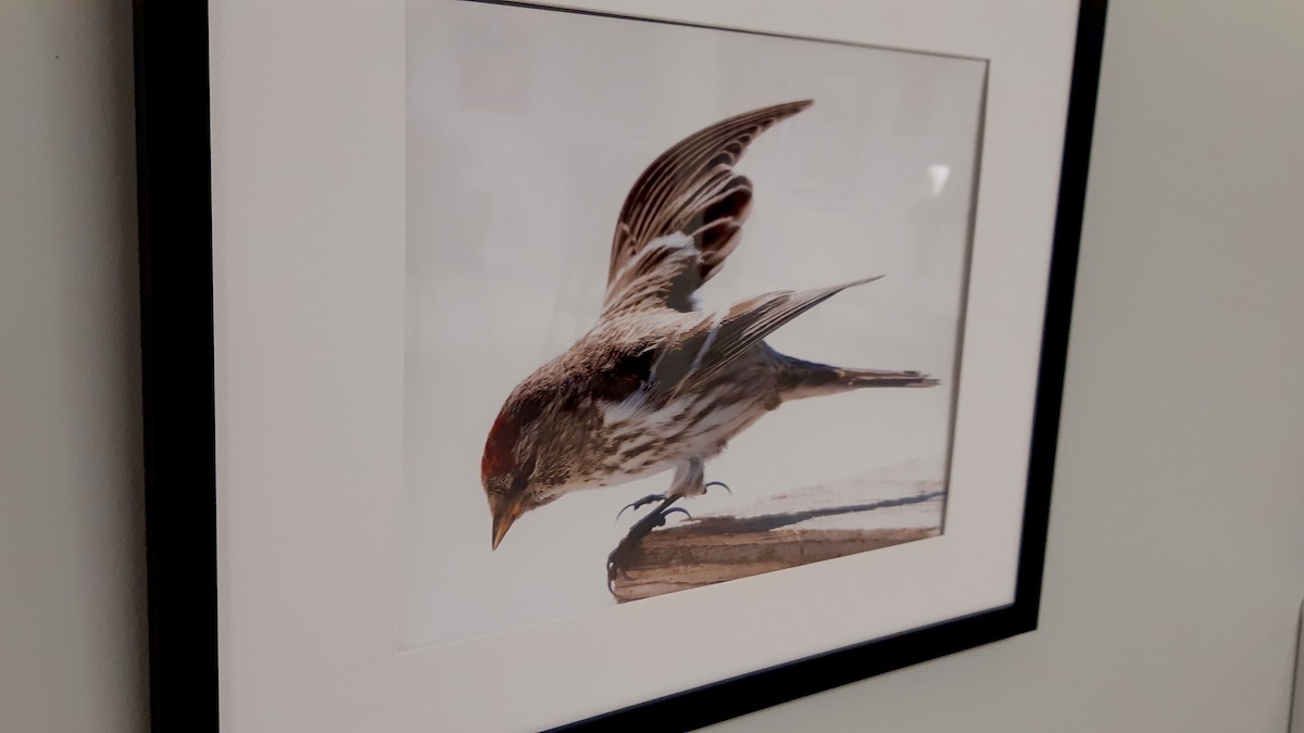 Featured this month, Dunham’s photography adds depth and visual storytelling to the Dyment Recreation Hall arts space.