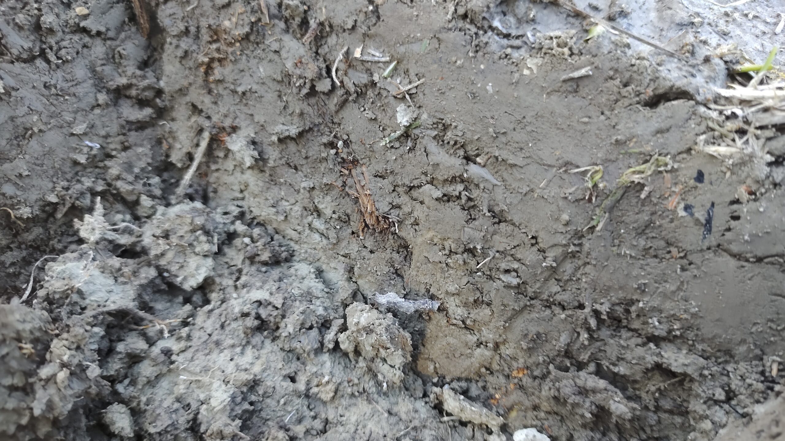 Reclaiming dried clay through slaking creates less waste while reconnecting artists with traditional ceramic preparation methods naturally.