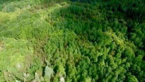 Nuclear Waste Diet and Land Use Study: Make Sure Melgund’s Story Is Heard