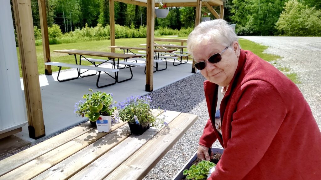 Great fun was had planting the flowers this year.