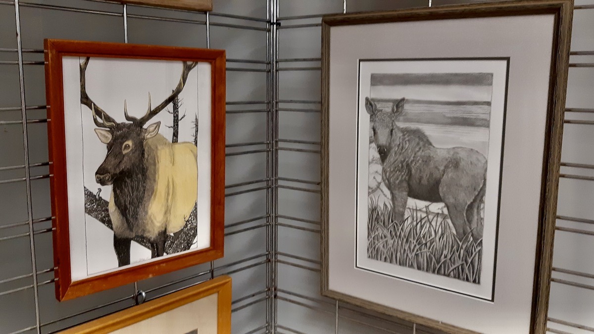 This summer, the Dyment Recreation Hall is exhibiting the beautiful work of local Borups Corners artist Leanne Nicholson.