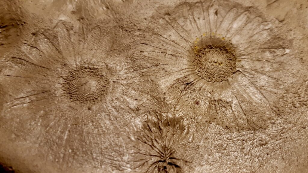 A closer view of the flowers imprinted in the clay. We're excited to see such fine detail!