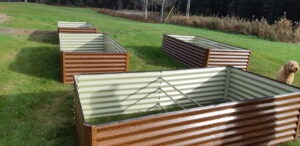 These beautiful new garden boxes will support increased food production and recreational community gardening at the Dyment Recreation Hall and Park next spring! Thanks to the Ontario Trillium Foundation Capital grant program for making this expansion possible!